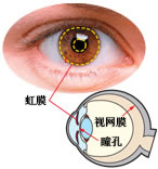 松下虹膜識別門禁系統(tǒng)